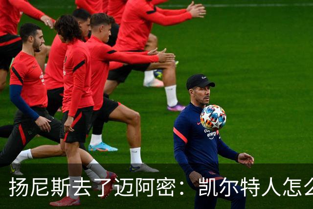 扬尼斯去了迈阿密：凯尔特人怎么办？